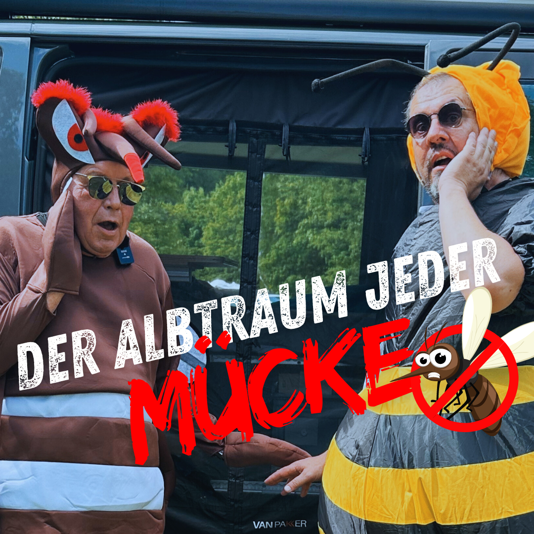 Hier gehts zu unseren Insektenschutzgittern