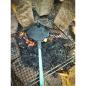 Preview: Origin Outdoors Waffeleisen über offenem Feuer, auf einem Grillrost liegend und einsatzbereit positioniert.
