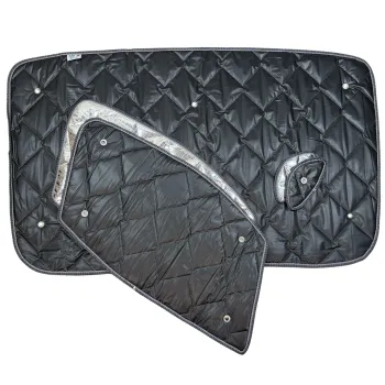 Thermomatten 3er Set Fahrerhaus