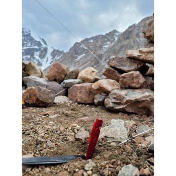 BasicNature Zelthering 'T-Stake' im Kies eingeschlagen