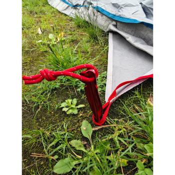 BasicNature Zelthering 'T-Stake' im Gras eingeschlagen