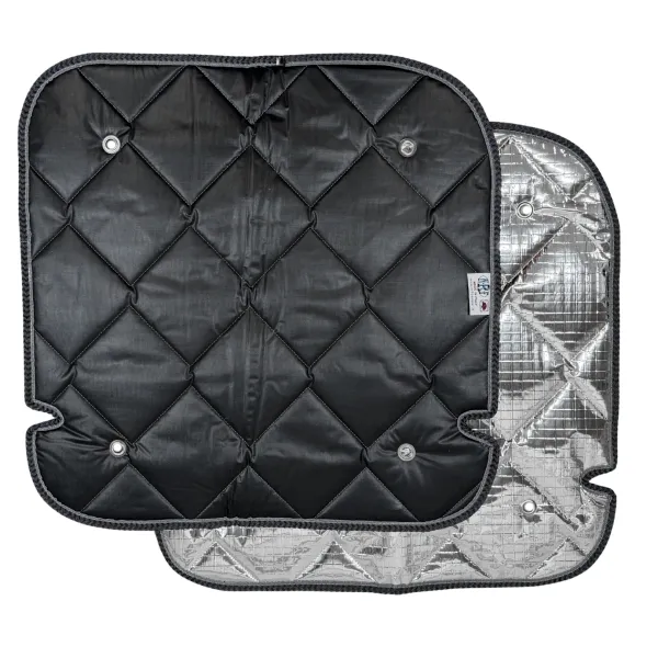 Thermomatten schwarz Fiat Ducato (2006 - 2014) Doppeltür