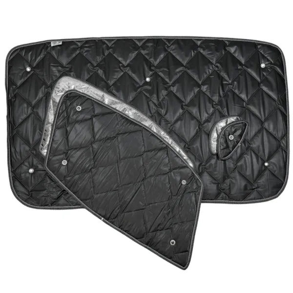 Set: Thermomatten Komplettset 12-teilig schwarz Nissan NV 200 (2009-2021) kurzer Radstand