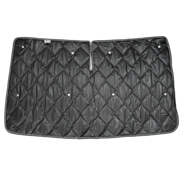 Thermomatten schwarz Citroen / Peugeot / Doblo / Toyota / Combo ab 2018 Fahrerhaus