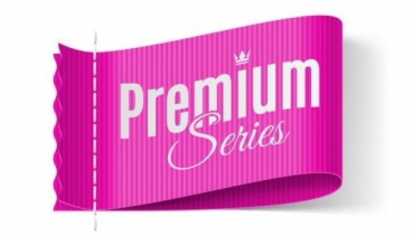 Thermomatten Premium Ford Custom / auch Tourneo und Nugget ab 2012 - 09/2023 Komplettset - zum Konfigurieren - mit farbigem Einfassband